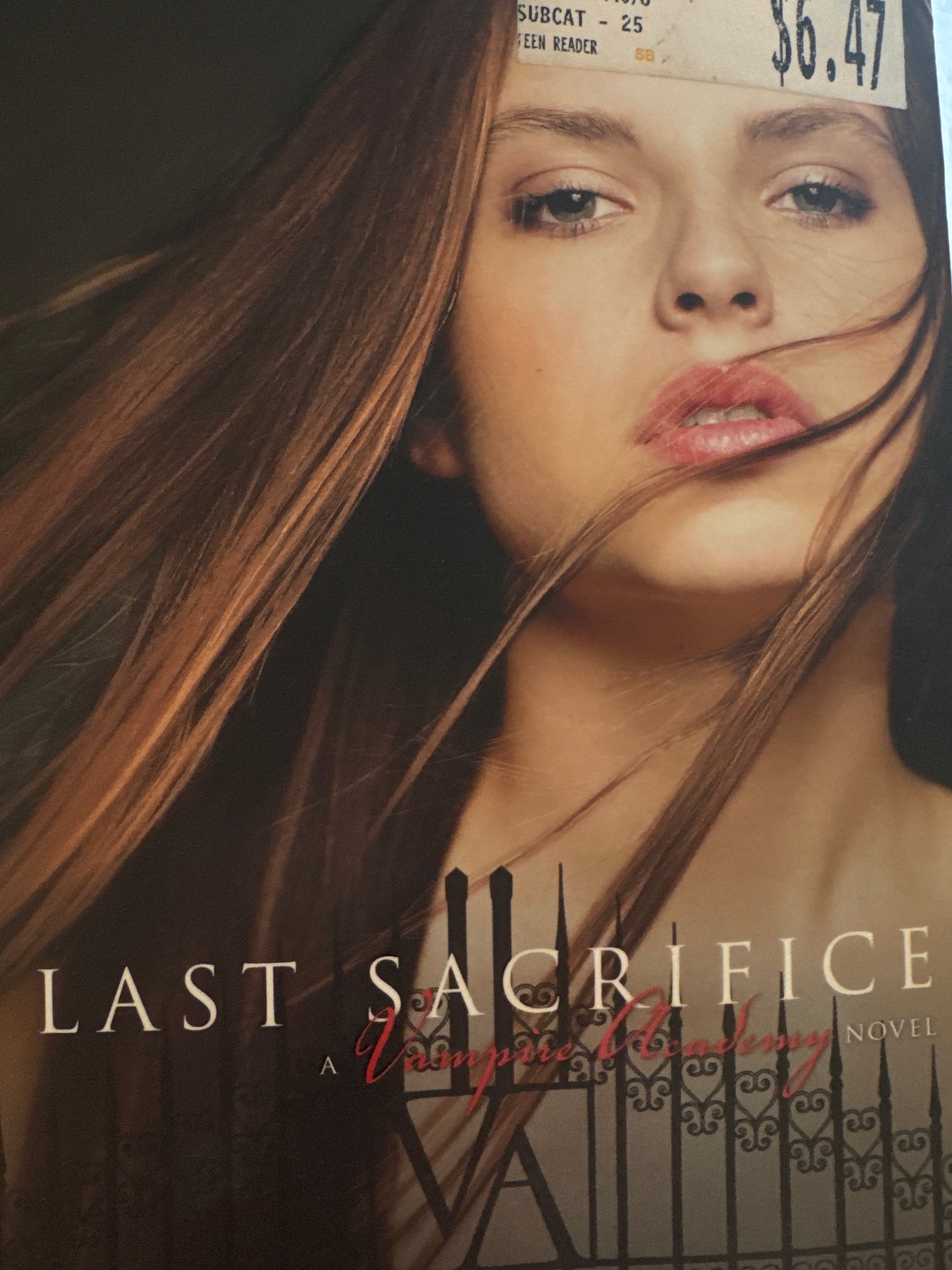 Last Sacrifice (Vampire Academy, Book 6)