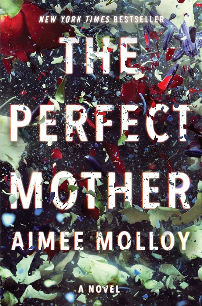The Perfect Mother: A Novel cover image