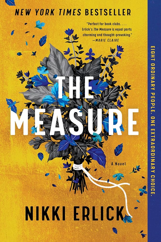 The Measure: A Novel cover image