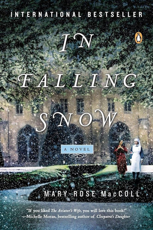 In Falling Snow: A Novel cover image
