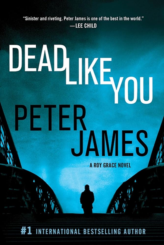 Dead Like You (Detective Superintendent Roy Grace) cover image