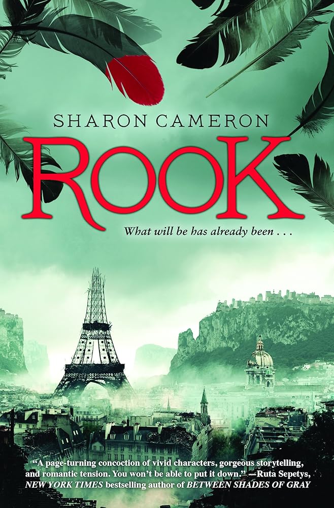 Rook cover image