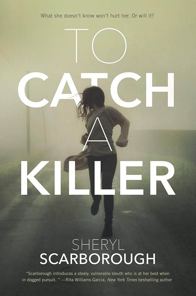 To Catch a Killer: A Novel (Erin Blake, 1) cover image