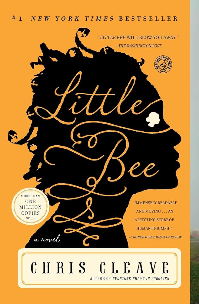 Little Bee: A Novel cover image