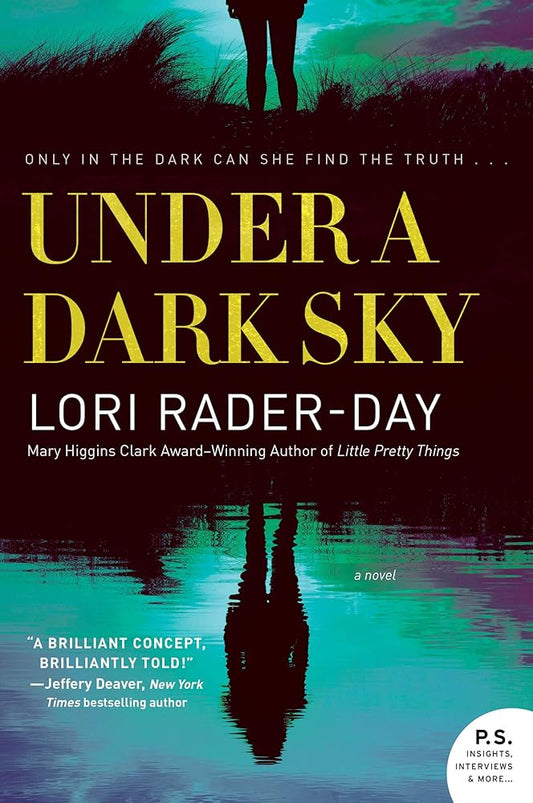 Under A Dark Sky: A Novel cover image