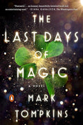 The Last Days of Magic: A Novel cover image