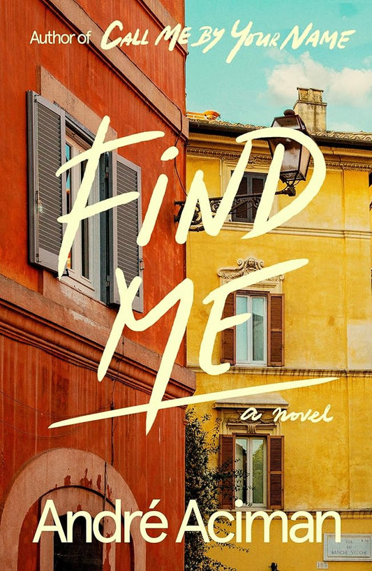 Find Me: A Novel cover image