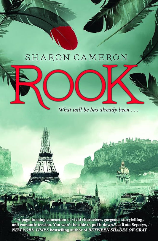 Rook cover image