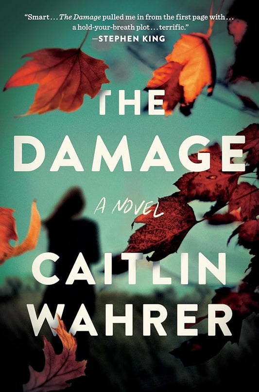 The Damage: A Novel cover image