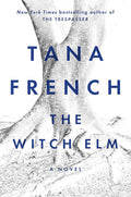 The Witch Elm: A Novel cover image