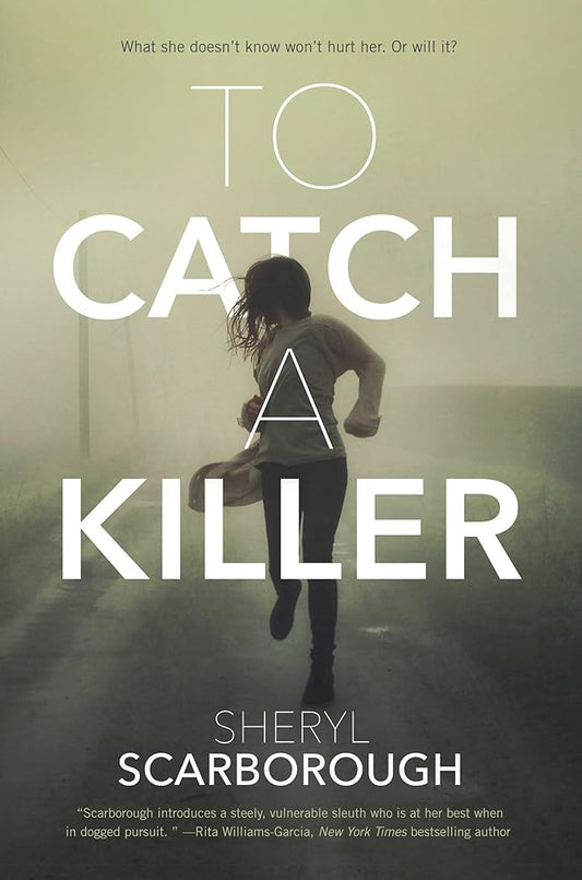 To Catch a Killer: A Novel (Erin Blake, 1) cover image