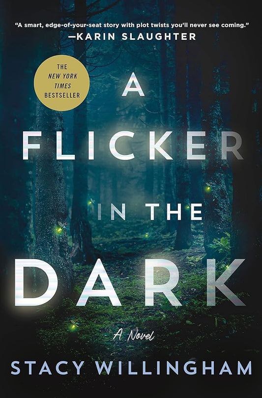 A Flicker in the Dark: A Novel cover image