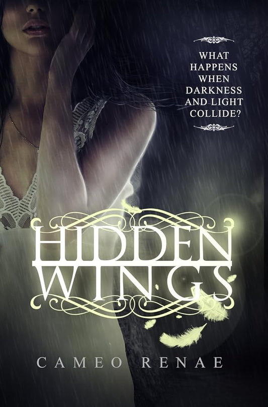 Hidden Wings cover image
