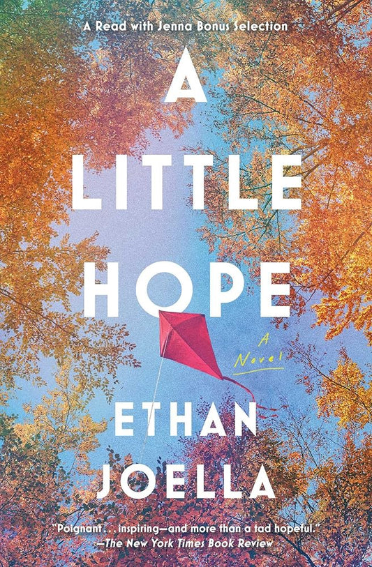 A Little Hope: A Novel cover image