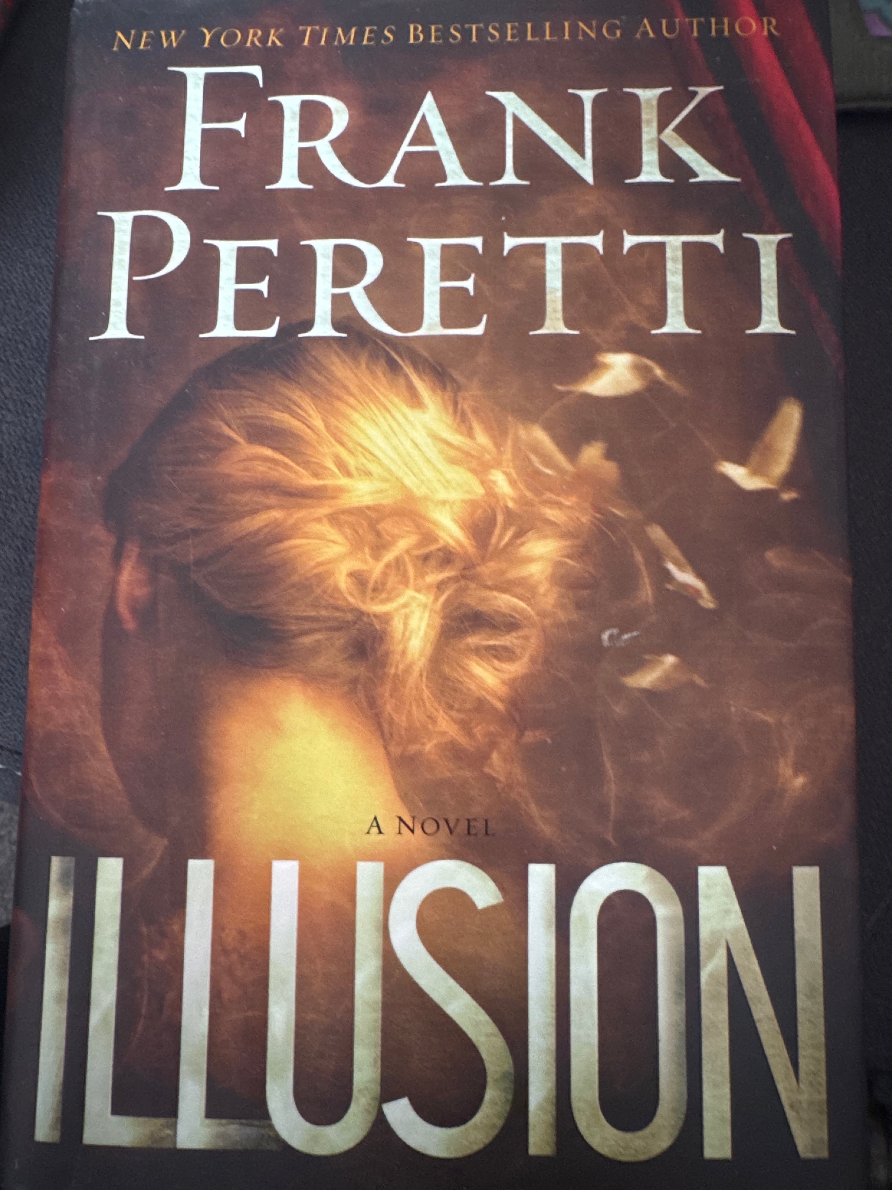 Illusion: A Novel