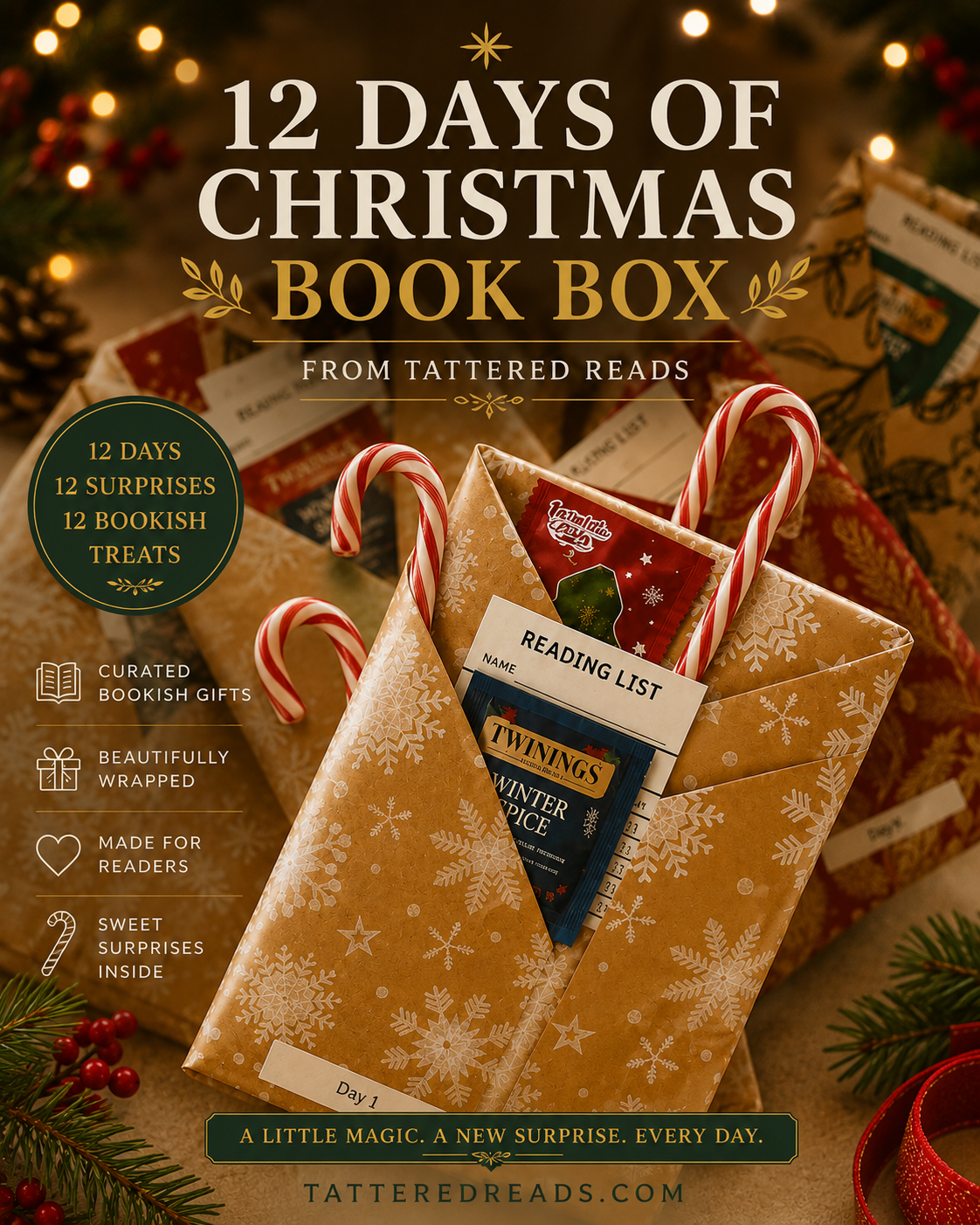 🎁 12 Days of Christmas Book Box – PRE-ORDER 🎁