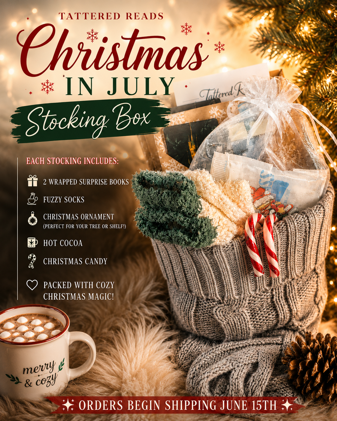🎄☀️ Tattered Reads Christmas in July Stocking Box ☀️🎄