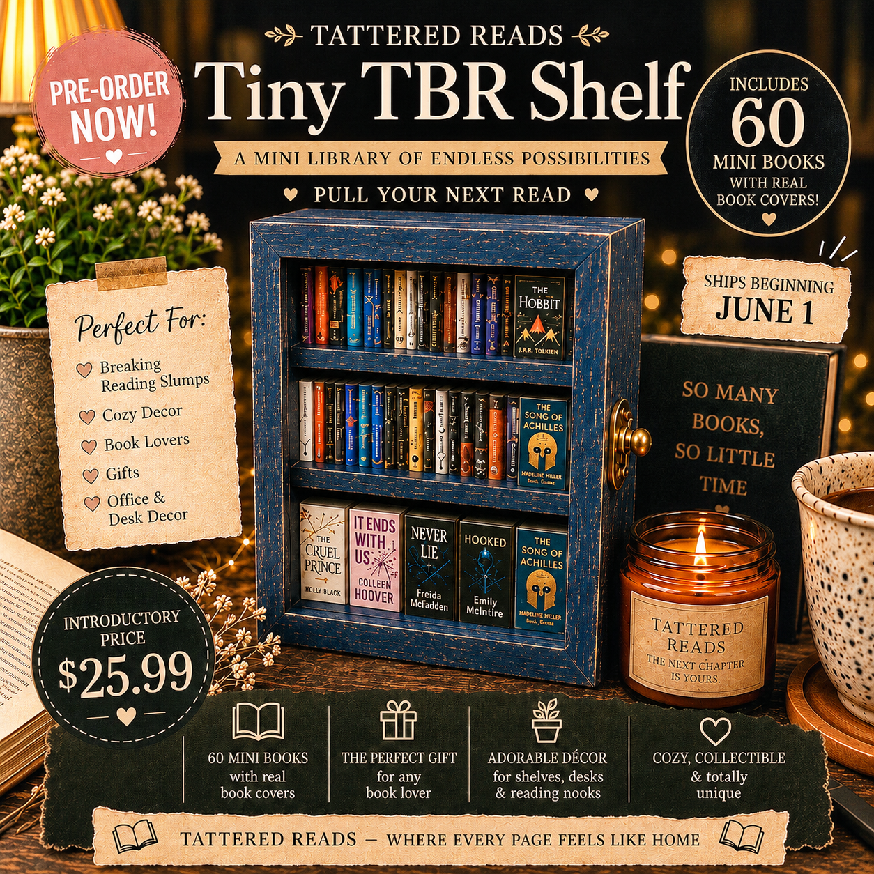 ✨ Tattered Reads Tiny TBR Shelf ✨