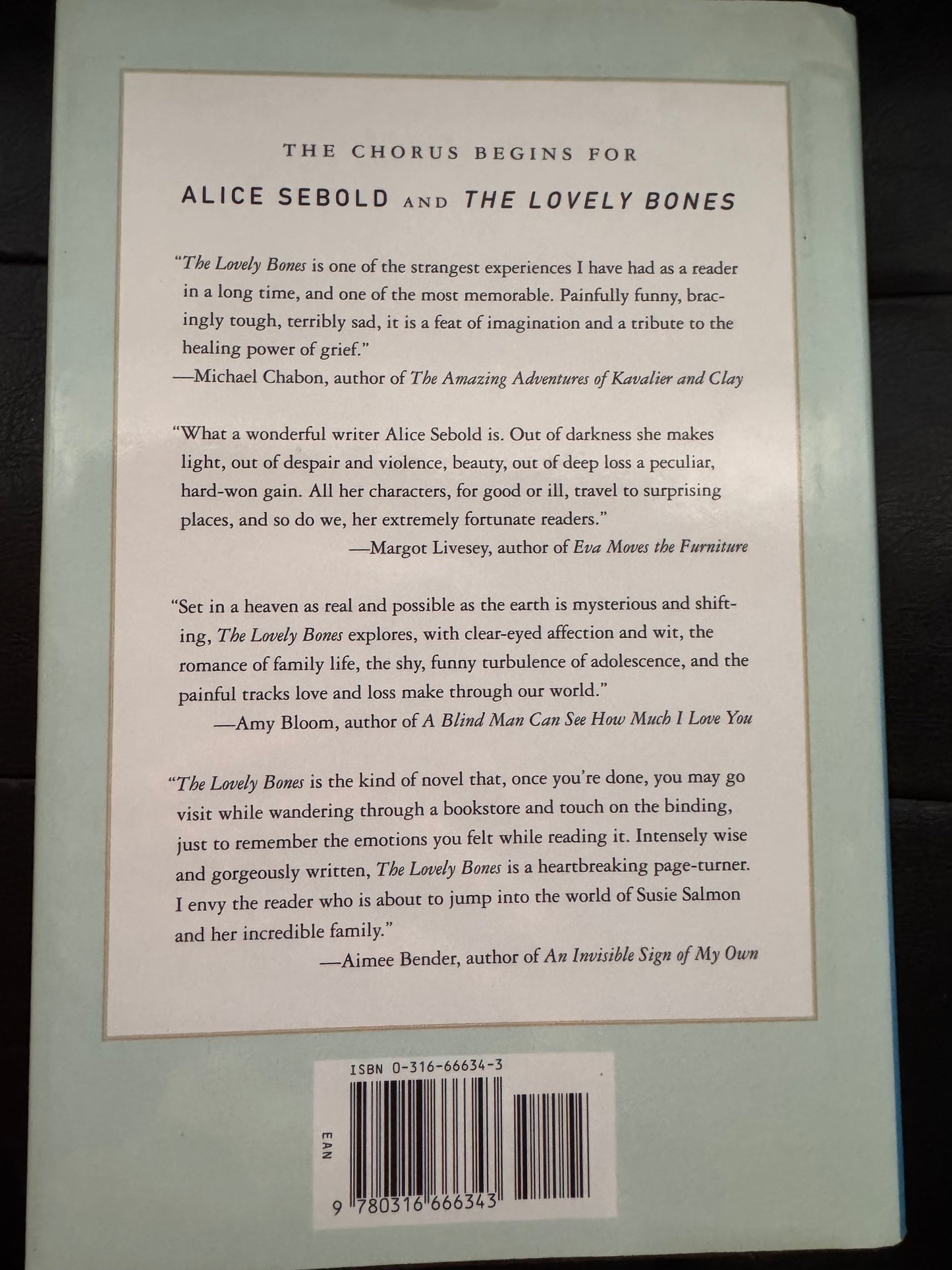 The Lovely Bones by Alice Sebold