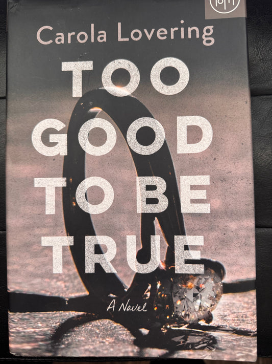 Too Good to be True by Carola Lovering